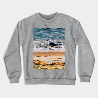 Seagulls - Seagull on Virginia Beach at Dawn Crewneck Sweatshirt